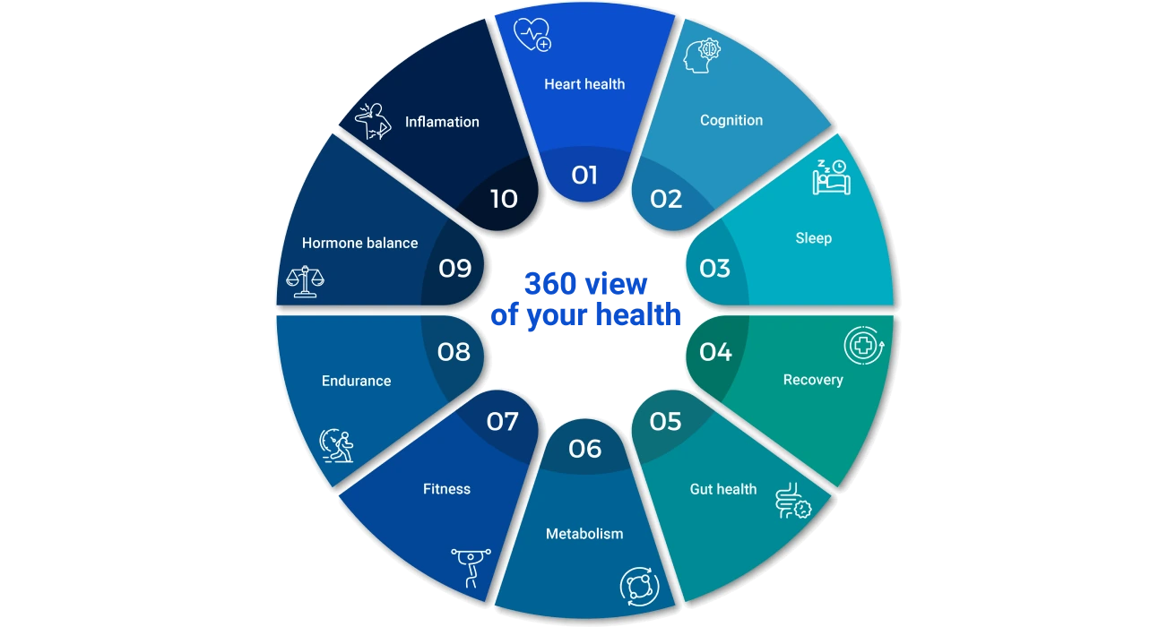 A 360 view of your health across ten healthspan categories: Heart Health, Cognition, Sleep, Recovery, Gut Health, Metabolism, Fitness, Endurance, Hormone Balance and Inflammation
