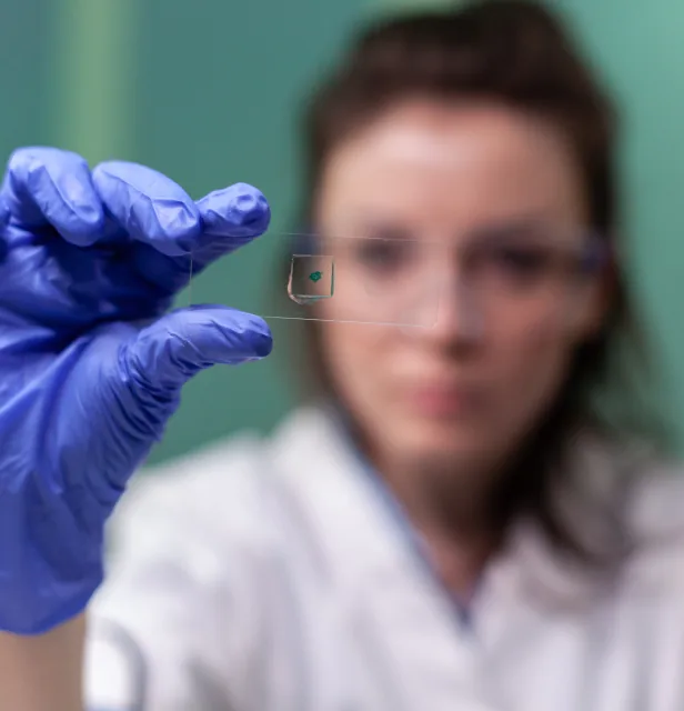 A blood sample being prepared for analysis